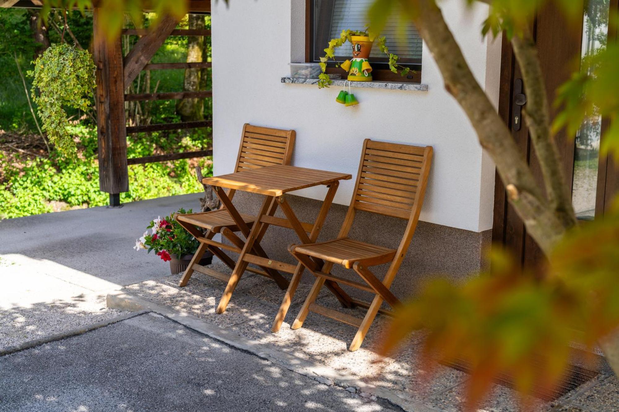 Apartma Pri Lipi ボーヒニ エクステリア 写真